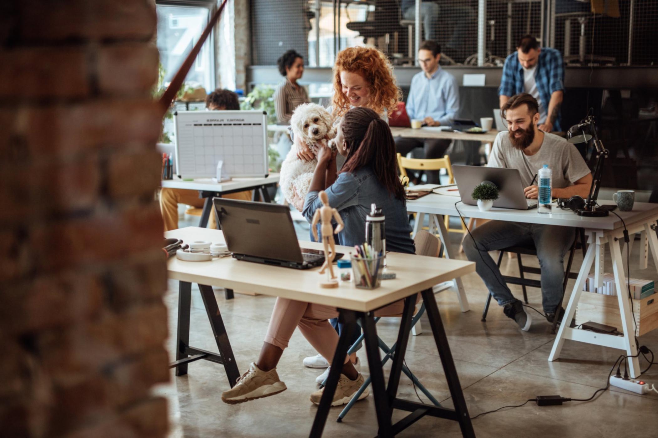 Yerel arama optimizasyonu stratejileri